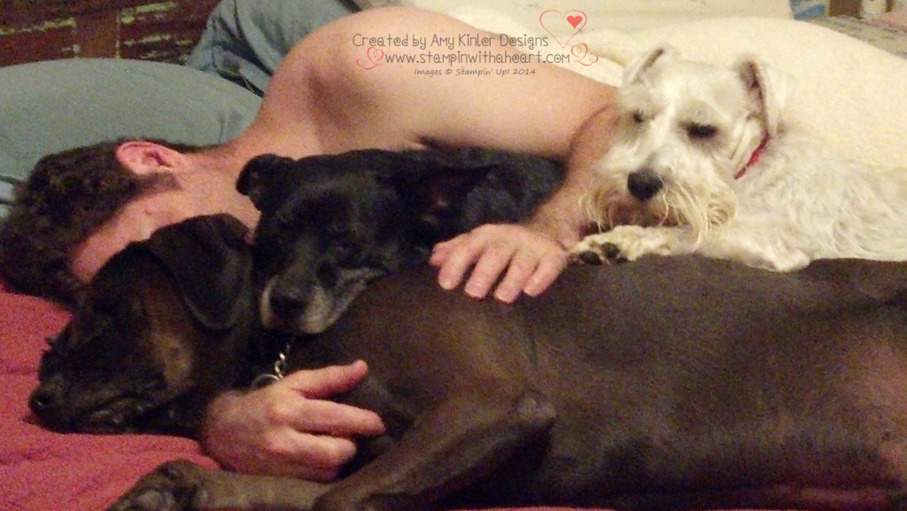 My husband with the 3 dogs, Monte (black), Gumbeaux (brown) and Dr. Pepper